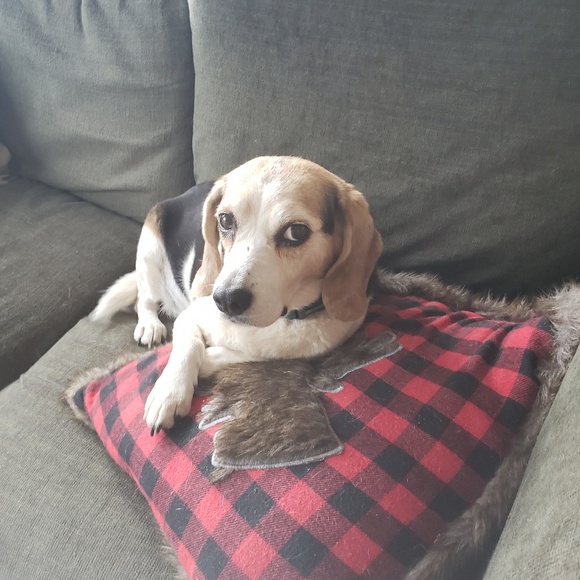 Meet your Posher, Brian - Picture 1 of 1